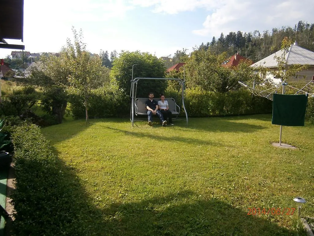 Apartment Darinka